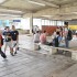 estupro-usp