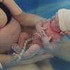 gravida-placenta