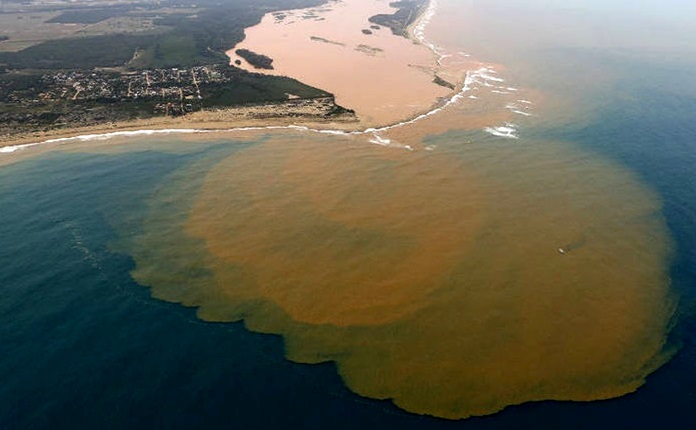 organizações ambientais estão em silêncio diante da Vale samarco meio ambiente barragem rio doce