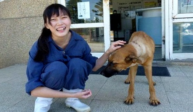 veterinária que se matou droga sacrifício de cães animais china