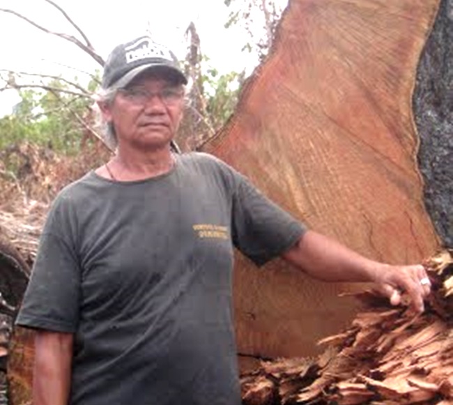 José C. Ribeiro ameaças amazônia madereiros