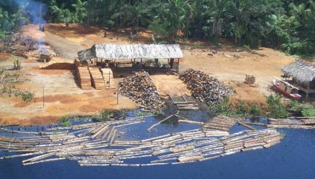 pesadelo de Nilcilene uma mulher jurada de morte acre amazonas rondônia