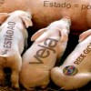 pig-porcos-golpistas-midia-desonesta