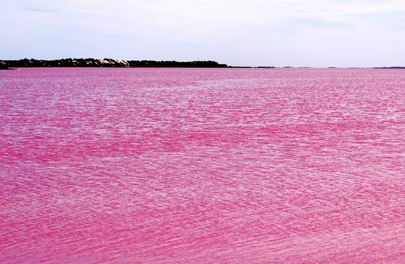 lago rosa
