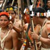 DNA de indígenas equatorianos é vendido ilegalmente à Universidade de Harvard equador-waorani-dna