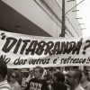 ditabranda-folha