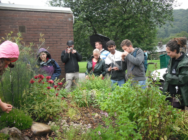 horta todmorden