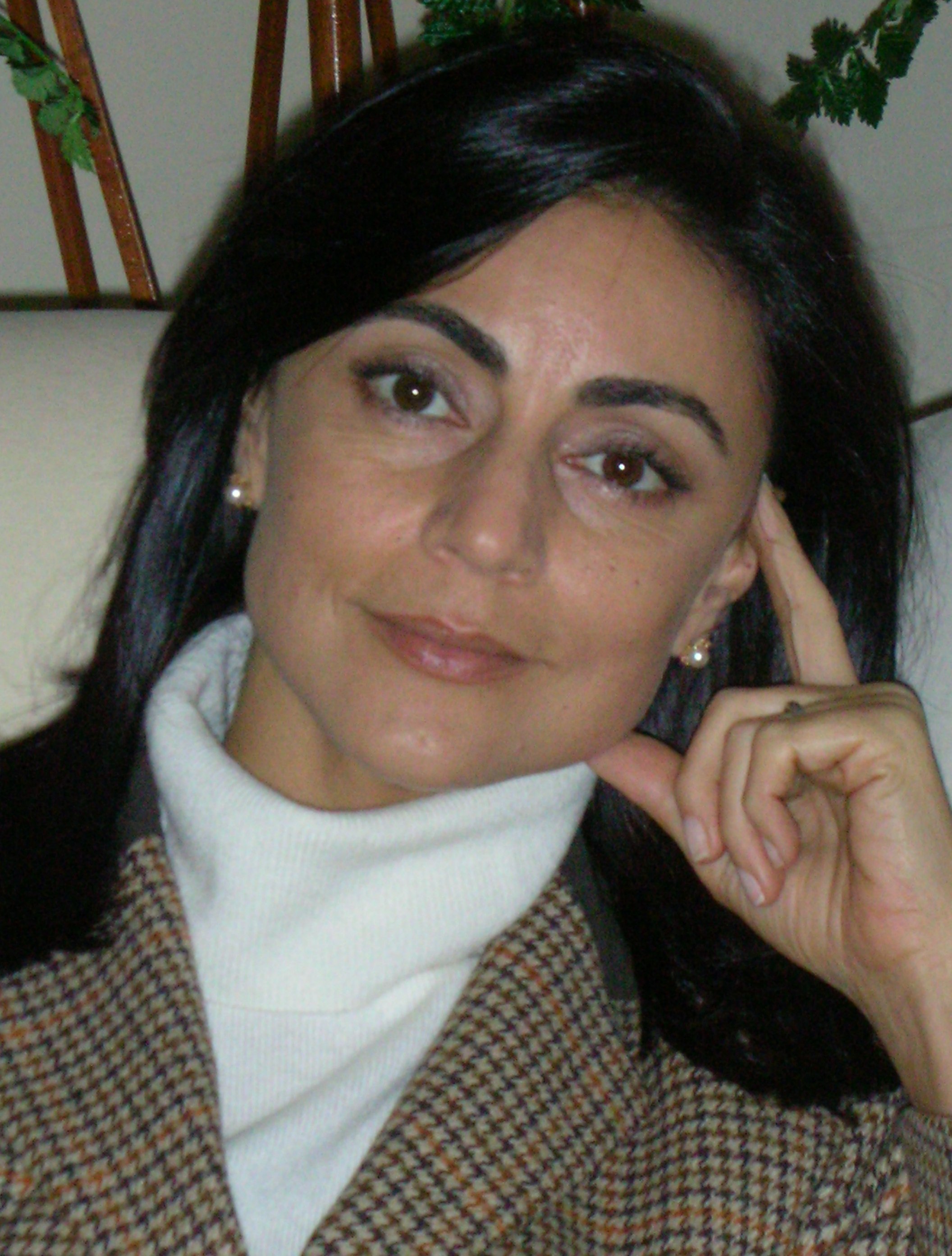 sibel-edmonds sibel edmonds boston bombas
