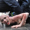 femen-belgica