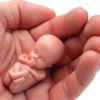 Movimento jornada-mundial-juventude-aborto