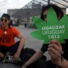 Maconha legalizada no Uruguai custará U$ 2,50 uruguai-maconha-legal