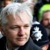 julian-assange-senado-australia