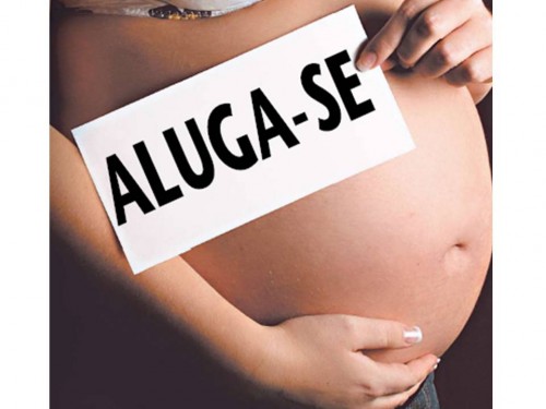 barriga aluguel como comprar