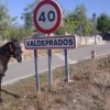 Jovem vai percorrer 2000 km a cavalo em busca de emprego jovem-espanhol-desempregado-cavalo