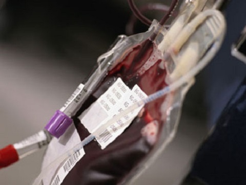 sangue artificial em humanos