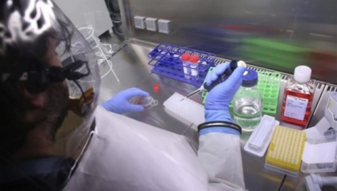 vírus ebola brasil maranhão boato falso