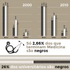 negros-racismo-info