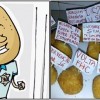 Coxinha de classe média coxinha-de-classe-media