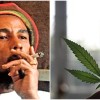 Jamaica aprova a legalização da maconha jamaica-legalizacao-maconha
