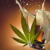 Maconha ou álcool, o que é menos mortal? maconha-alcool