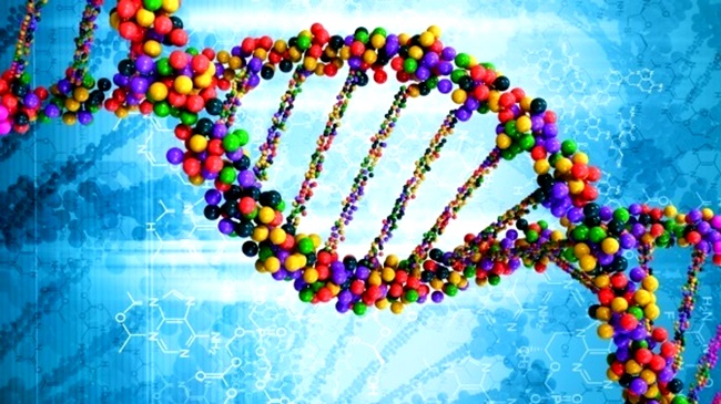 DNA israelenses mapeado saúde genética ciência
