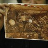 Restos mortais de Miguel de Cervantes são encontrados em igreja de Madri restos-mortais-cervantes
