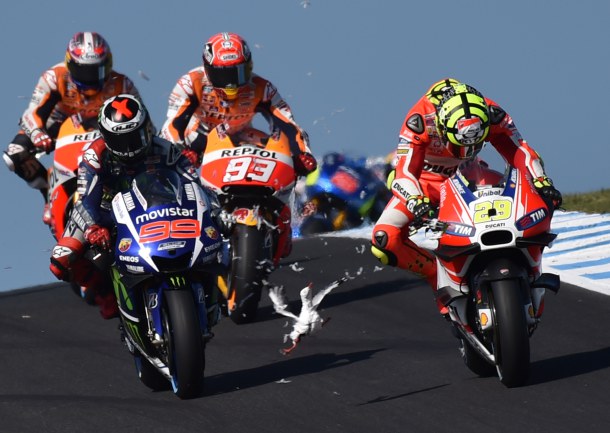 -- AFP PICTURES OF THE YEAR 2015 -- A seagull flies in front of Repsol Honda rider Marc Marquez (C) and Movitar Yamaha rider Jorge Lorenzo of Spain after smashing into Ducati rider Andrea Iannone of Italy on the opening lap of the MotoGP Australian Grand Prix at Phillip Island on October 18, 2015. IMAGE STRICTLY RESTRICTED TO EDITORIAL USE - STRICTLY NO COMMERCIAL USE AFP PHOTO/Paul Crock