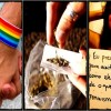 homossexualidade-maconha-e-feminismo-na-maquina-do-consumo