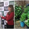 Prisão de youtuber escancara hipocrisia da 'guerra às drogas' maconha-sergio-youtuber-hipocrisia