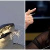 Janaína Paschoal vira piada na internet após afirmar que Rússia vai invadir o Brasil janaina-paschoal-vladimir-putin