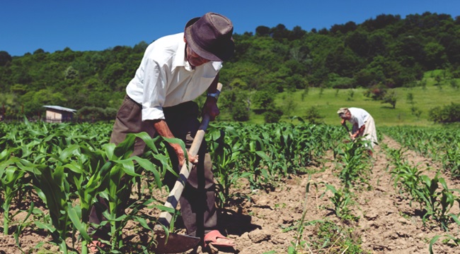 tragédia previdência prec 287 aposentadoria rural