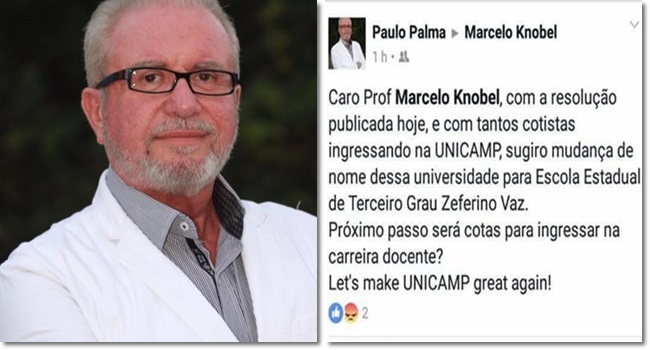 professor unicamp paulo palma cotas ataca racismo 