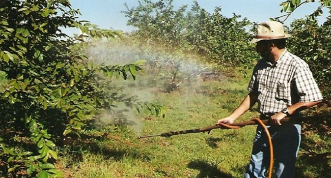 Ciência cidadã reage mazelas império dos transgênicos agrotóxicos 