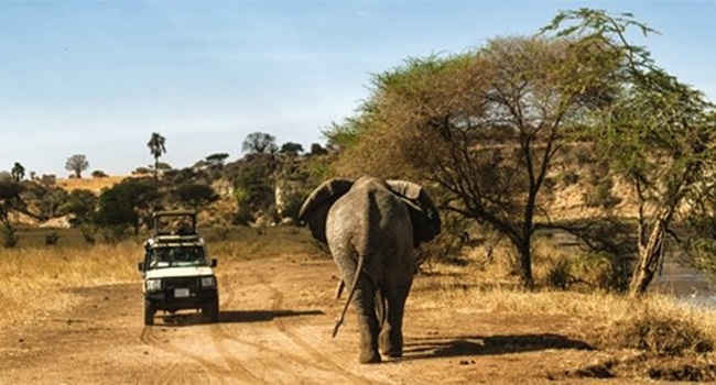 idéias equivocadas áfrica continente animais banheiro comida negros