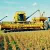 Números do agronegócio revelam a tragédia brasileira agronegocio-revelam-a-tragedia-brasileira