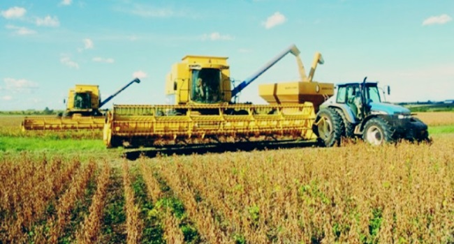 Números do agronegócio revelam a tragédia economia brasileira mercado governo temer soja café carne