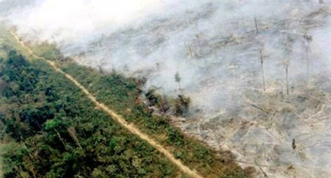 Destruidores do mundo ideia que nasce de platão filosofia vida meio ambiente