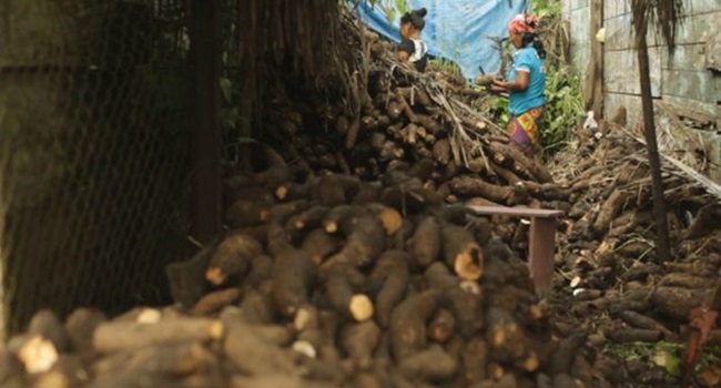 selva mais perigosa da América Latina Darien Panamá Colômbia