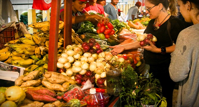 diferença entre os alimentos orgânicos e agroecológicos