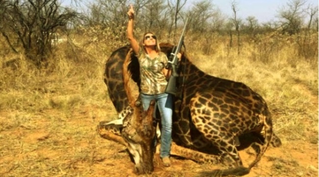 Mulher posta foto ao lado de girafa morta e provoca revolta