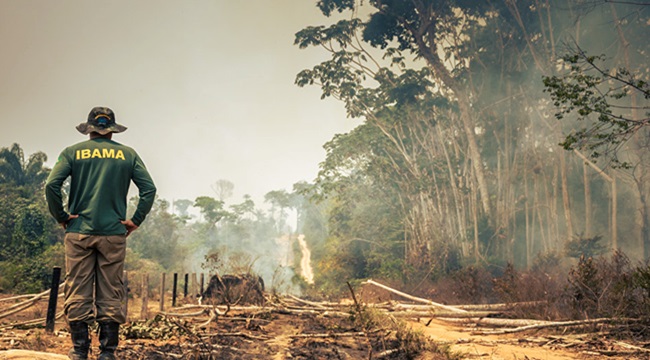 Ambientalistas pânico ascensão Bolsonaro meio ambiente