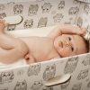 britanicos-contestam-eficacia-de-caixa-de-papelao-para-bebes-na-finlandia