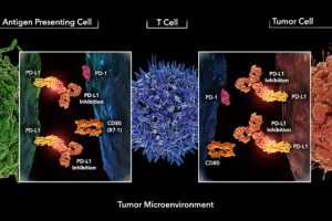 pesquisa-tratamento-do-cancer