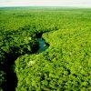 Propostas de Haddad e Bolsonaro para o meio ambiente são antagônicas propostas-haddad-bolsonaro-meio-ambiente