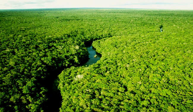 Propostas Haddad Bolsonaro meio ambiente eleições 2018