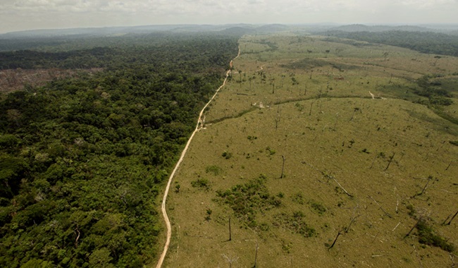 Duas Alemanhas desmatadas na Amazônia brasileira