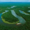Amazônia se aproxima do ponto de ruptura, diz cientista amazonia-se-aproxima-do-ponto-de-ruptura-diz-cientista