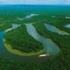 amazonia-se-aproxima-do-ponto-de-ruptura-diz-cientista