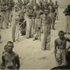 holocausto-brasileiro-o-genocidio-no-maior-hospicio-do-brasil