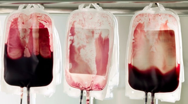 Startup vendia sangue de jovens fecha as portas